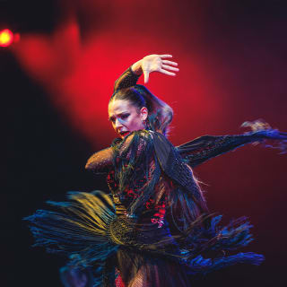 WAH Show Madrid: El show más espectacular del mundo 5