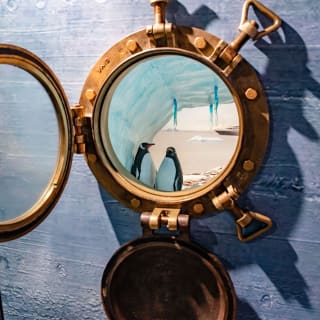 ANTARCTICA 360 - CG GALLERY | LLORET DE MAR 18