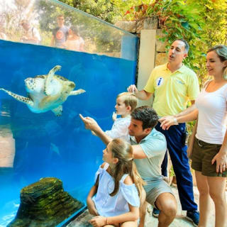 Palma Aquarium: Entrada gratuita + Cine Aquadome 3D opcional 48