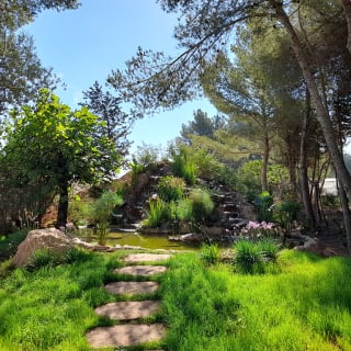 BiBo Park (Ibiza Botánico Biotecnológico) 4