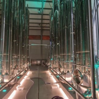 Mallorca: Visita guiada a Bodegas y Almazara + Catas + Traslado de ida y vuelta 3