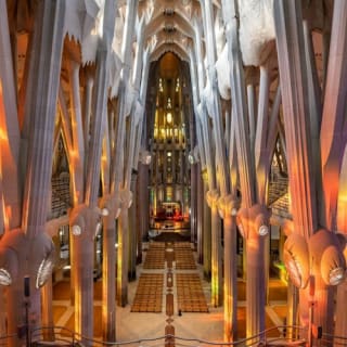 Sagrada Familia: Entrada de acceso rápido + Acceso a la Torre de la Natividad 2