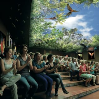 Loro Parque: Entrada 16