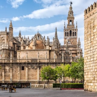Reales Alcázares de Sevilla + Catedral de Sevilla: Visita guiada 14
