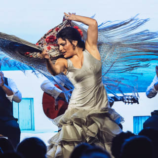Teatro Flamenco Barcelona: Vive la experiencia del Flamenco 5