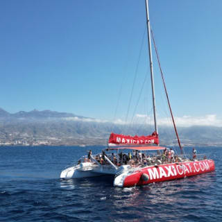 Tenerife: Excursión en Catamarán para Avistamiento de Delfines y Ballenas + Comida + Traslados 1