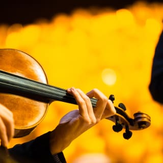 Candlelight: Tributo a Ariana Grande 6