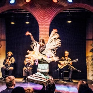 Museo del Baile Flamenco: Solo el espectáculo 10