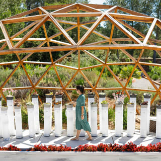 BiBo Park (Ibiza Botánico Biotecnológico) 6