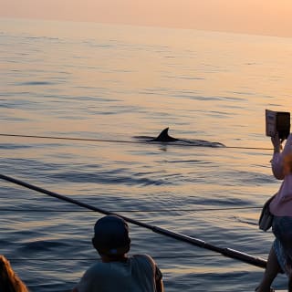 Sunrise Boat Trip in Mallorca with Dolphin-Watching 19