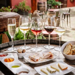 Museo del Vino de Tenerife: Visita y degustación