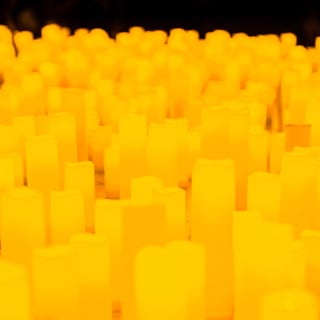 Candlelight: La ley innata 6