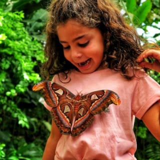 Mariposario de Benalmádena: Entrada 3