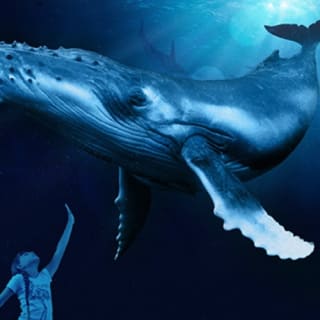 Palma Aquarium: Entrada gratuita + Cine Aquadome 3D opcional 59