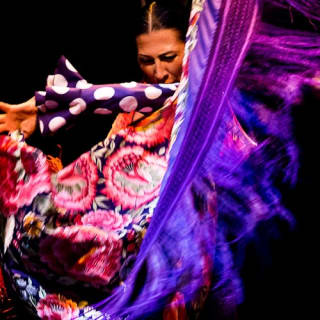 Museo del Baile Flamenco: Solo el espectáculo 7