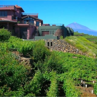 Bodegas Monje: Visita a la bodega + Cata de vinos 1