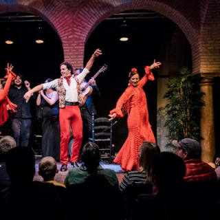 Museo del Baile Flamenco: Entrada + Puro Espectáculo Flamenco 17