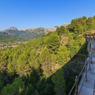 Excursión autoguiada por Mallorca de Palma a Sa Calobra (tren, tranvía y barco de Sóller) 27