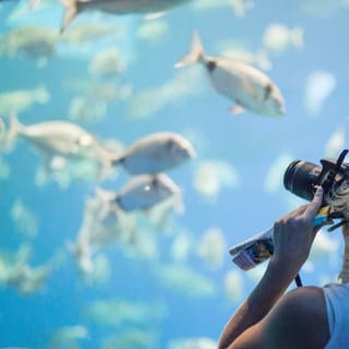 Palma Aquarium: Entrada gratuita + Cine Aquadome 3D opcional 64