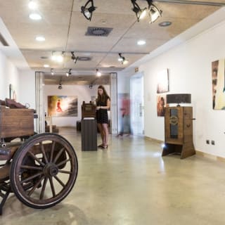 Museo del Baile Flamenco: Entrada + Puro Espectáculo Flamenco 14