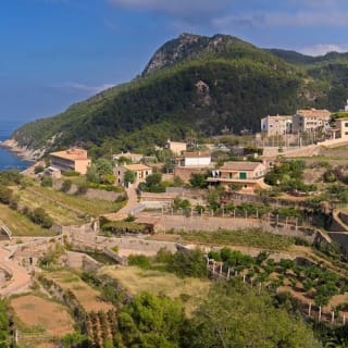 Recorrido por la isla de Mallorca: Autobús, tren, tranvía y barco 27