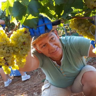 Mallorca: Visita guiada a Bodegas y Almazara + Catas + Traslado de ida y vuelta 8