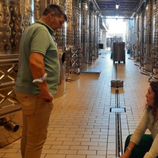 Mallorca: Visita guiada a Bodegas y Almazara + Catas + Traslado de ida y vuelta 5