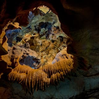 Cuevas de San José: Entrada + Tour guiado + Transporte de viaje de ida y vuelta 4