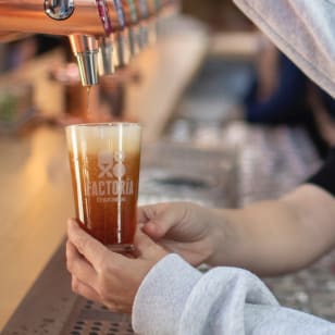 Taller cervecero en Factoría Cruzcampo