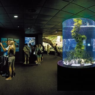 Loro Parque: Entrada 20