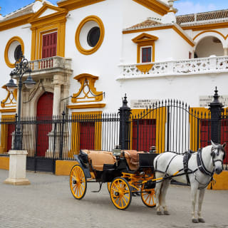 TOP Sevilla: Visita Guiada con tu móvil 4