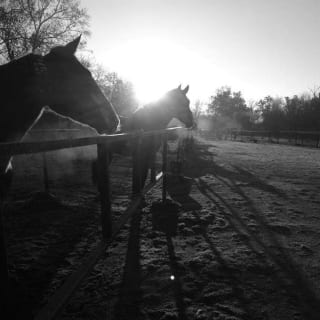 Experiencia a caballo: clases en plena naturaleza 4