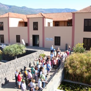 Pirámides de Güímar: Tour guiado