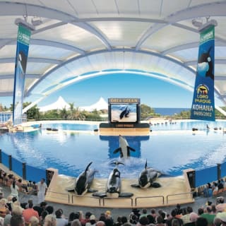 Loro Parque: Entrada 45