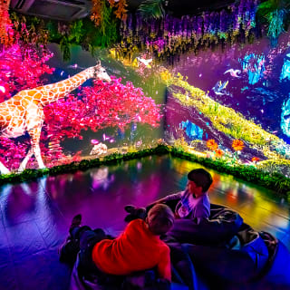 Big Fun Museum Barcelona: una experiencia interactiva 6