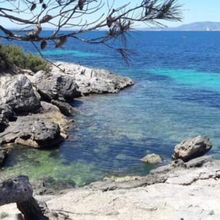 Mallorca: Excursión guiada en quad + snorkel + salto de acantilados 13