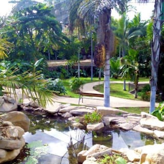 Palmetum de Santa Cruz de Tenerife: Entrada 5