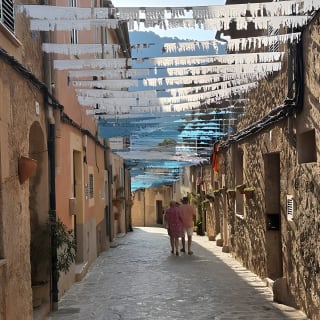 Valldemossa Tour and its Most Beautiful Viewpoints Easy Hike 2