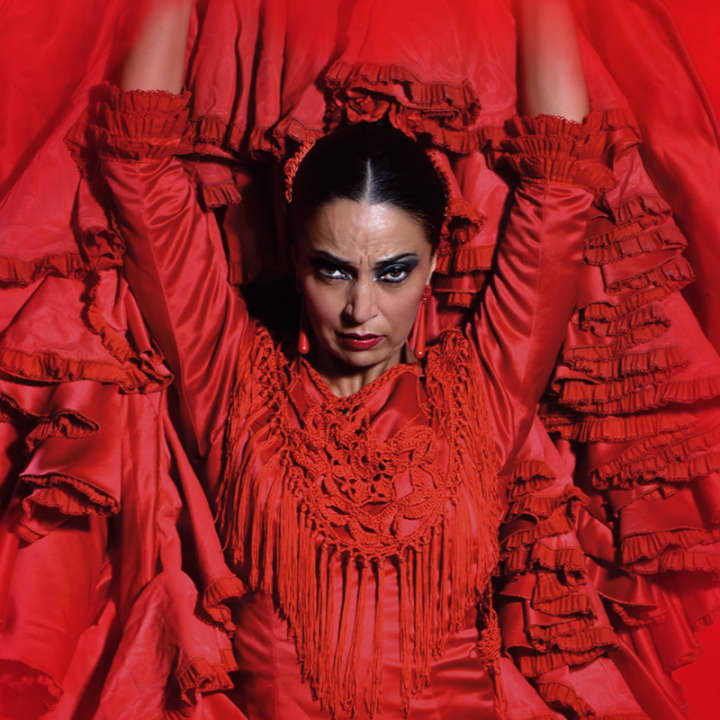 Teatro Flamenco Granada: Vive la experiencia del Flamenco