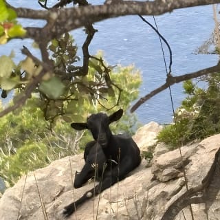 Valldemossa Tour and its Most Beautiful Viewpoints Easy Hike 21