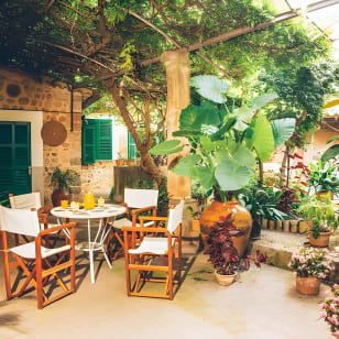 Guided Tasting Tour in 16th century House and Olive Oil Factory