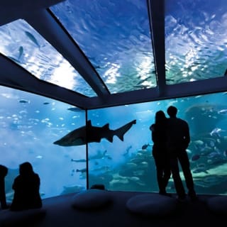 Palma Aquarium: Entrada gratuita + Cine Aquadome 3D opcional 11