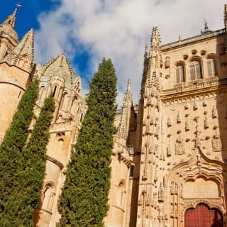 Ávila y Salamanca: Excursión Guiada de Día Completo desde Madrid 4