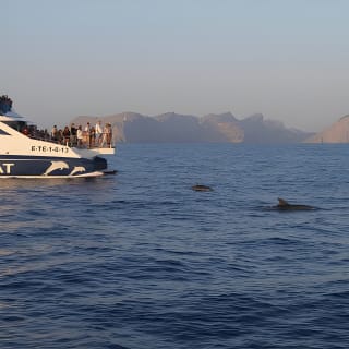 Sunrise Boat Trip in Mallorca with Dolphin-Watching 8