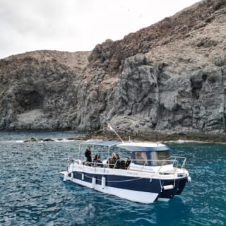 Tenerife: Experiencia guiada de snorkel 4