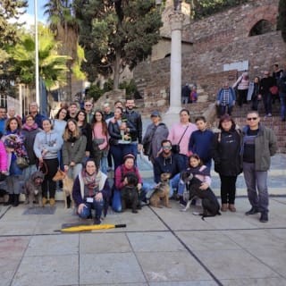 Museo Picasso Málaga: visita guiada 12
