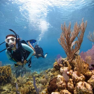 BARCELONA: BAUTIZO DE BUCEO - Sumérgete y vive la experiencia bajo el agua - 2h
