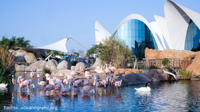 Oceanogràfic València