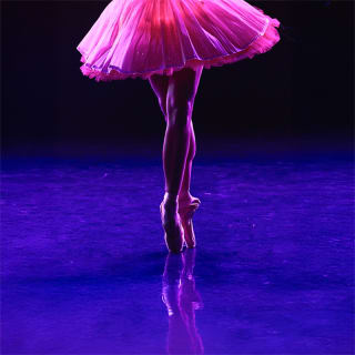 Ballet of Lights: La Bella Durmiente en un espectáculo deslumbrante 4