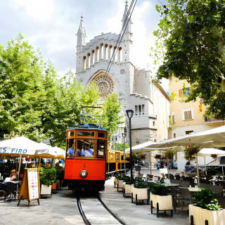 Mallorca in One Day Sightseeing Tour with Boat Ride and Vintage Train 18
